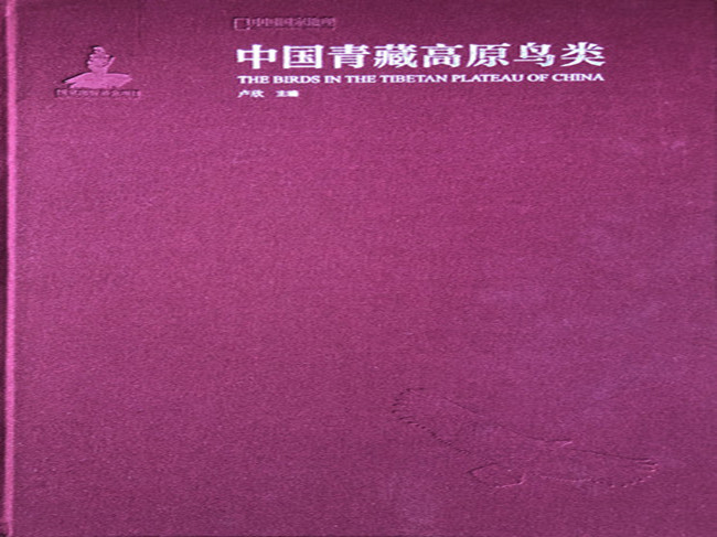 1547995129184993.jpg 2.jpg